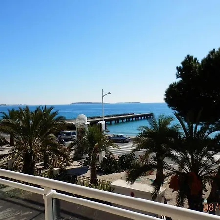Royal Palm * Cannes